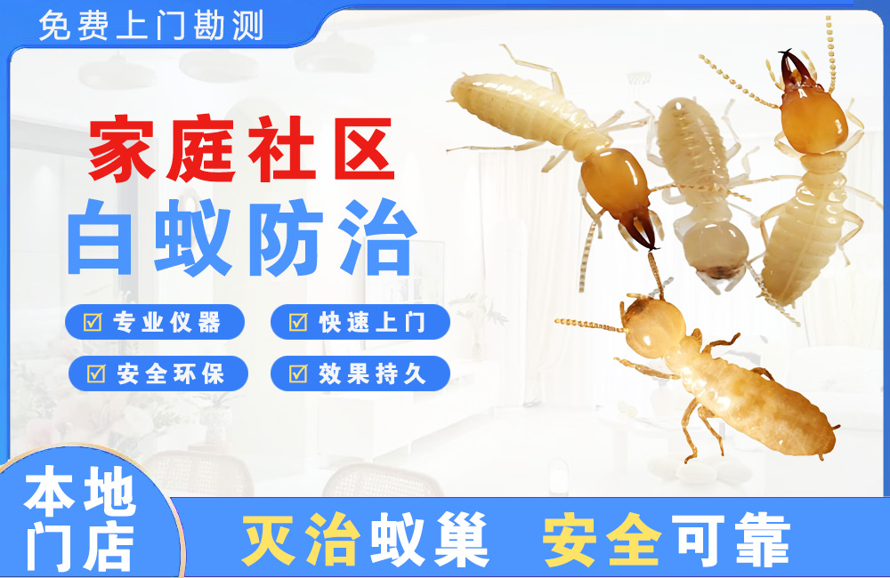 咸宁家庭社区白蚁防治