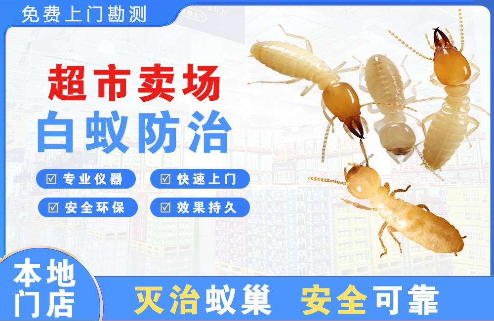 咸宁超市卖场白蚁防治