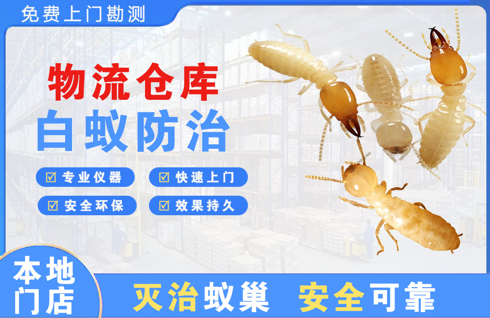 咸宁物流仓库白蚁防治
