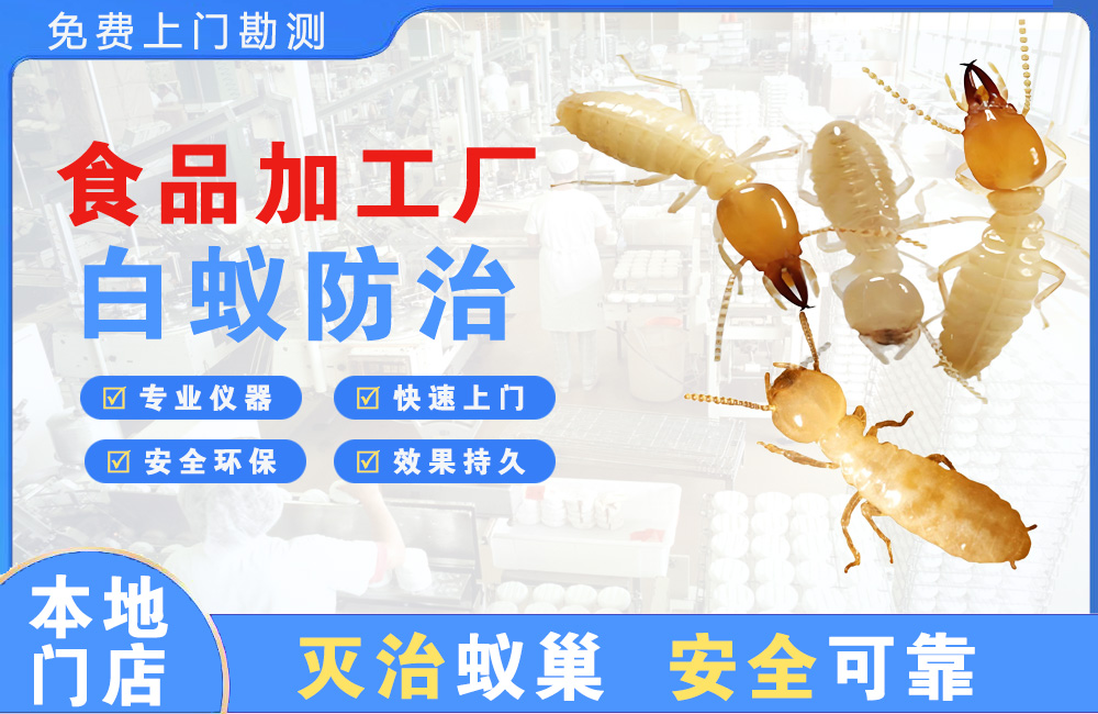 咸宁食品加工厂白蚁防治