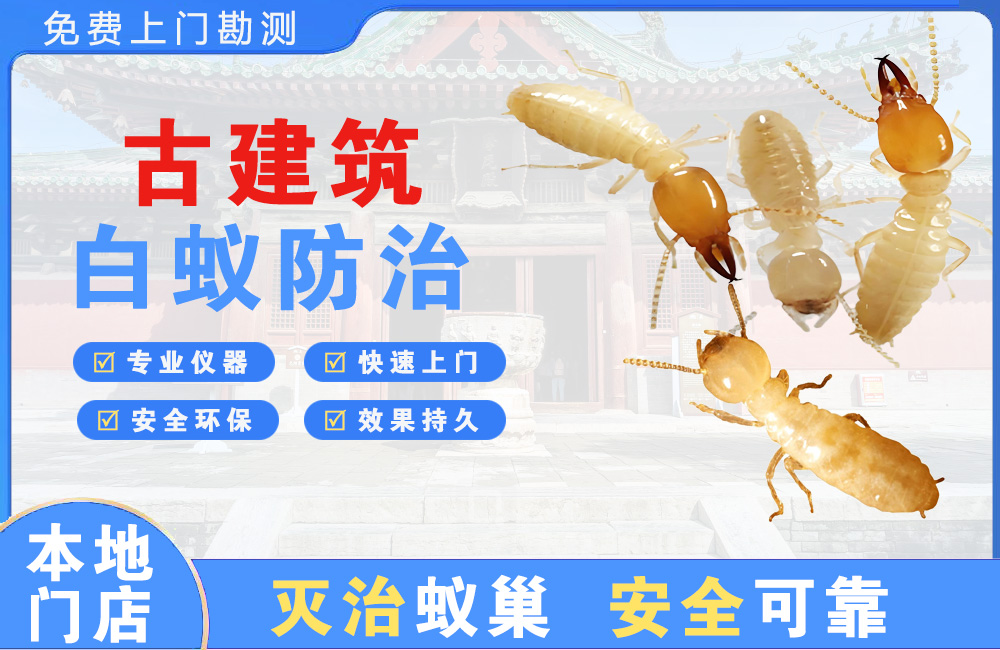 咸宁古建筑白蚁防治