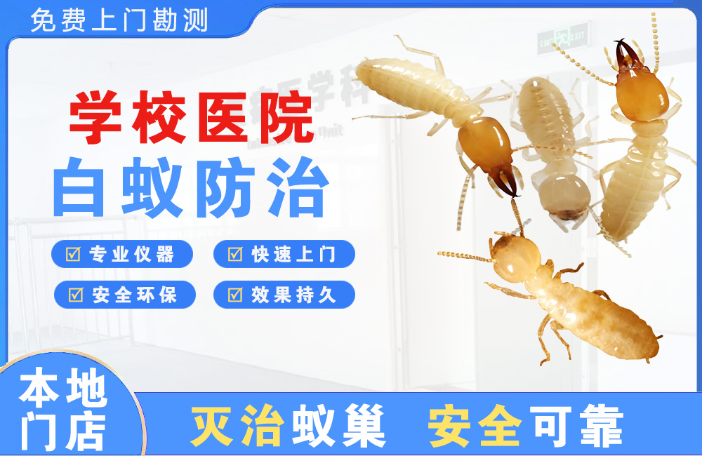咸宁学校医院白蚁防治