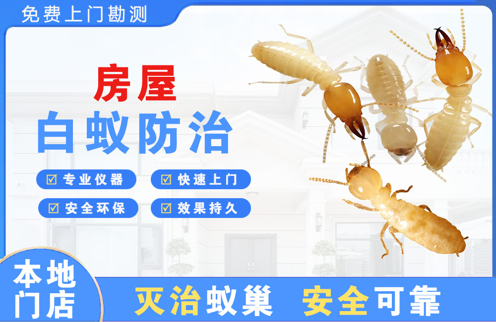 咸宁房屋白蚁防治
